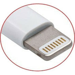 4Xem Usb 3.1 Type-C To 8-Pin Lightning Cable - 6Ft