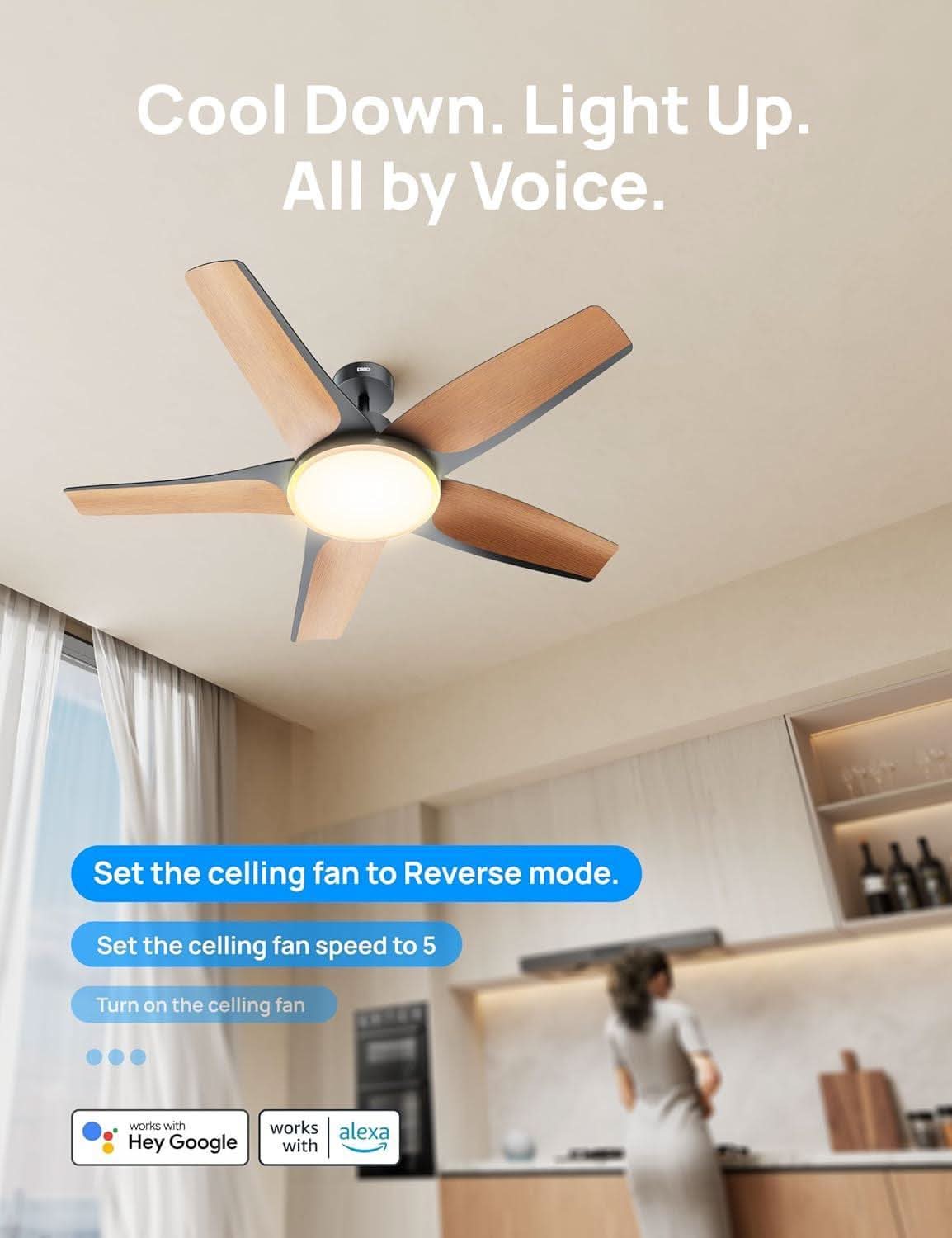 52 Inch Low Profile Smart Ceiling Fan Alexa RGB Lighting