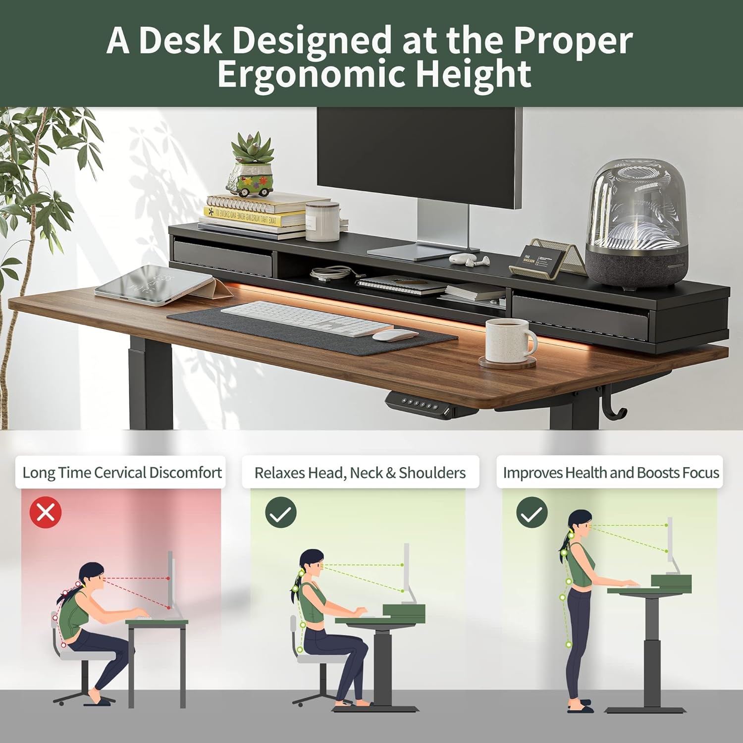 55 Inch Electric Standing Desk With Double Drawers Black Walnut