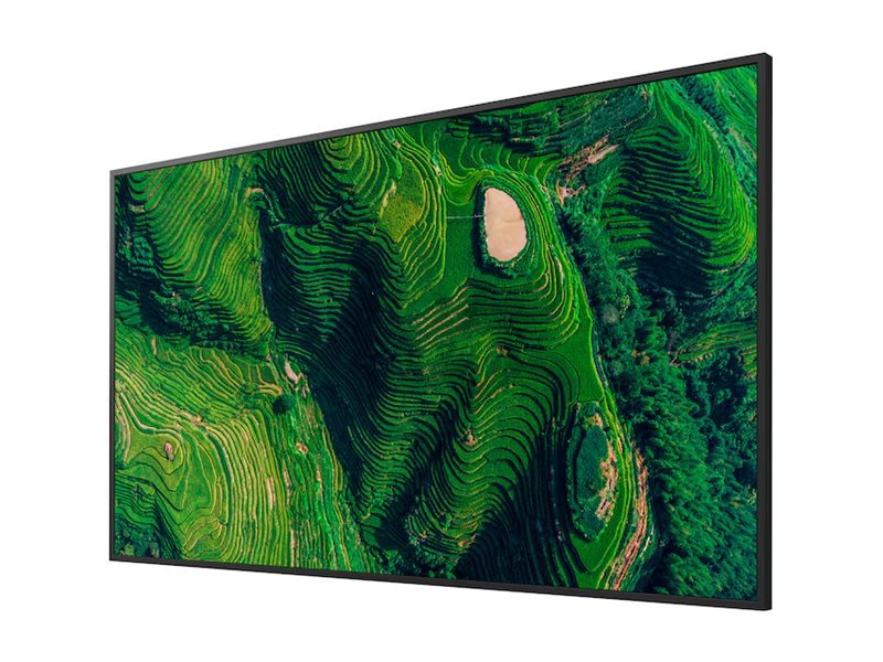 Sony 55in BRAVIA Professional Display with IP5X Rating