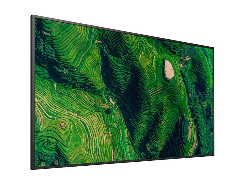 Sony 55in BRAVIA Professional Display with IP5X Rating