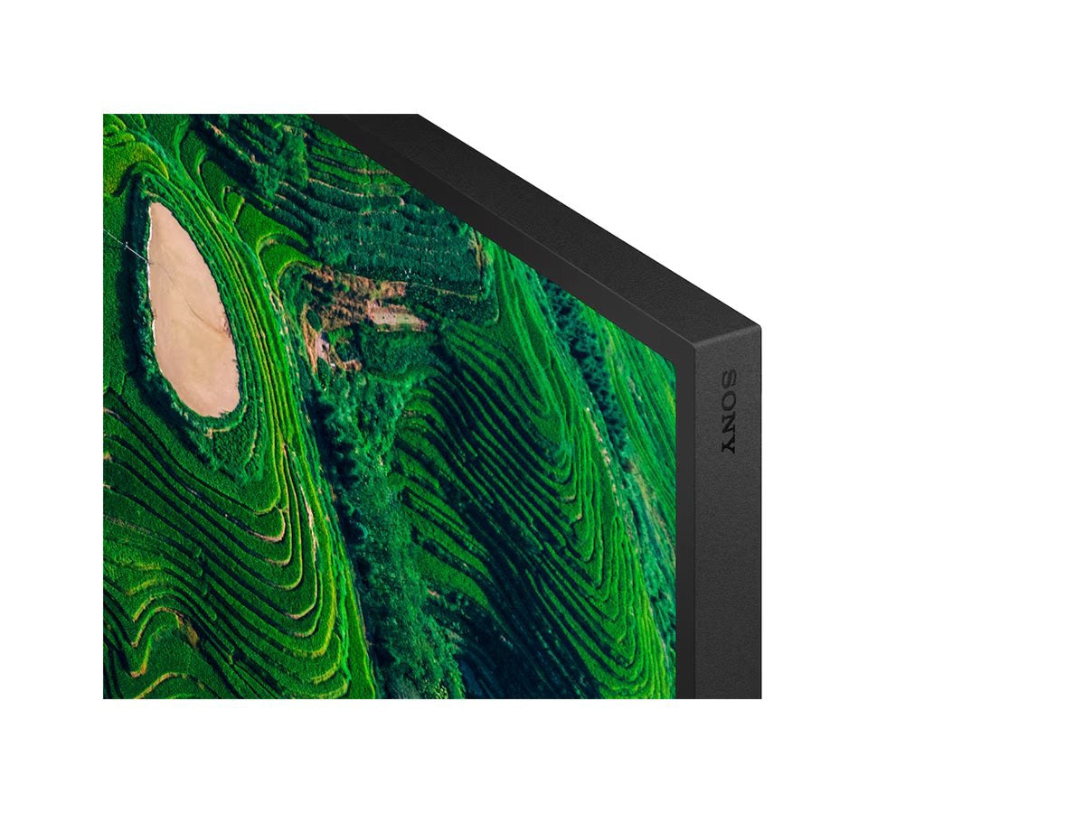 Sony 55in BRAVIA Professional Display with IP5X Rating