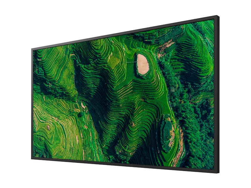 Sony 50in BRAVIA Professional Display w/ IP5X
