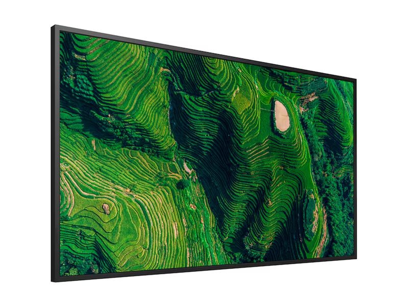 Sony 50in BRAVIA Professional Display w/ IP5X