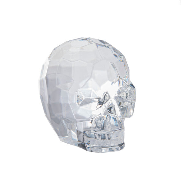 Acrylic Skull - Clear