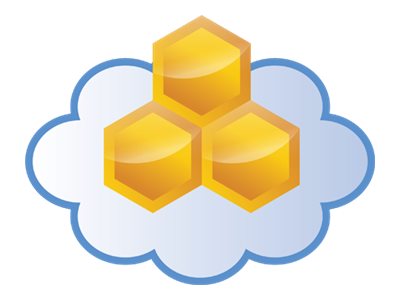 Aerohive Hivemanager Classic Online - Subscription License (1 Year) + 1 Year Select Con-C1nbd-Wsc388pe