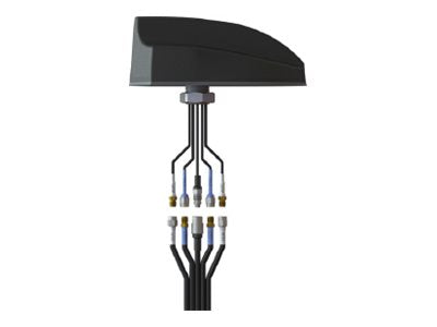 Airgain EZConnect - Antenna extension cable - SMA - 14 ft - coaxial CH-C4-1-14