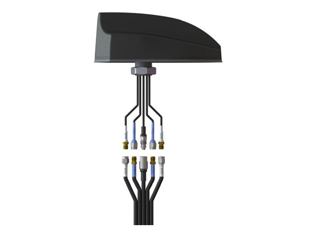 Airgain EZConnect - Antenna extension cable - SMA - 24 ft - coaxial - LMR-195 CCH-CG-1-1-24