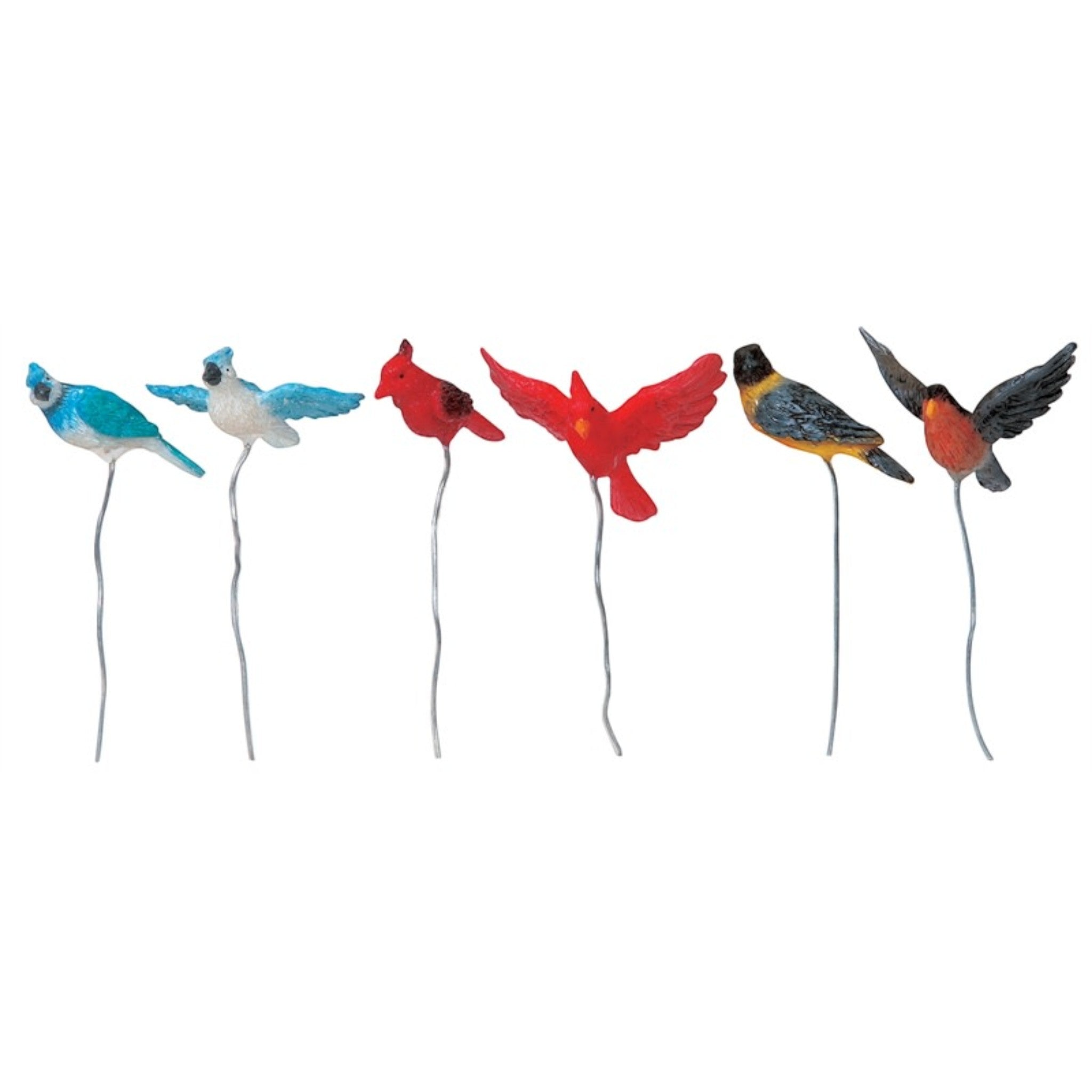 Assorted Birds - Set Of 6