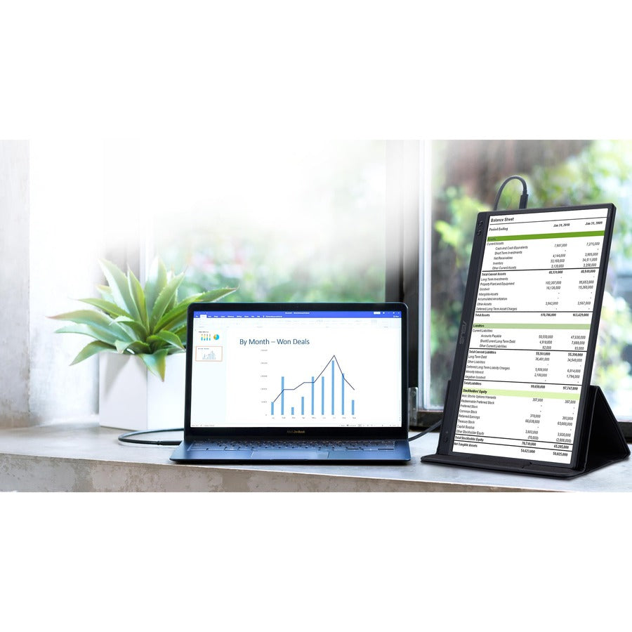 Asus Zenscreen Mb166C 15.6" Full Hd Led Lcd Monitor - 16:9 - Black