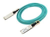 Axiom 100GBASE-AOC QSFP28 Active Optical Cable 7m - 22.97 ft Fiber Optic Network Cable
