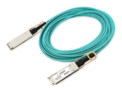 Axiom - 400GBase-AOC direct attach cable - QSFP-DD to QSFP-DD - 1 m - fiber optic - Active Optical Cable (AOC) QDD-400-AOC1M-AX