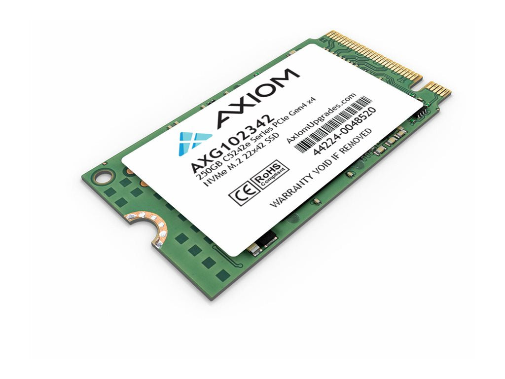 Axiom C5242e Series - SSD - 250 GB - internal - M.2 2242 - PCIe 4.0 x4 (NVMe) - TAA Compliant AXG102342