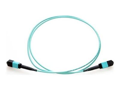 Axiom - Network cable - TAA Compliant - MTP/MPO multi-mode (F) push/pull to MTP/MPO multi-mode (F) push/pull - 10 m - fiber optic AXG94824