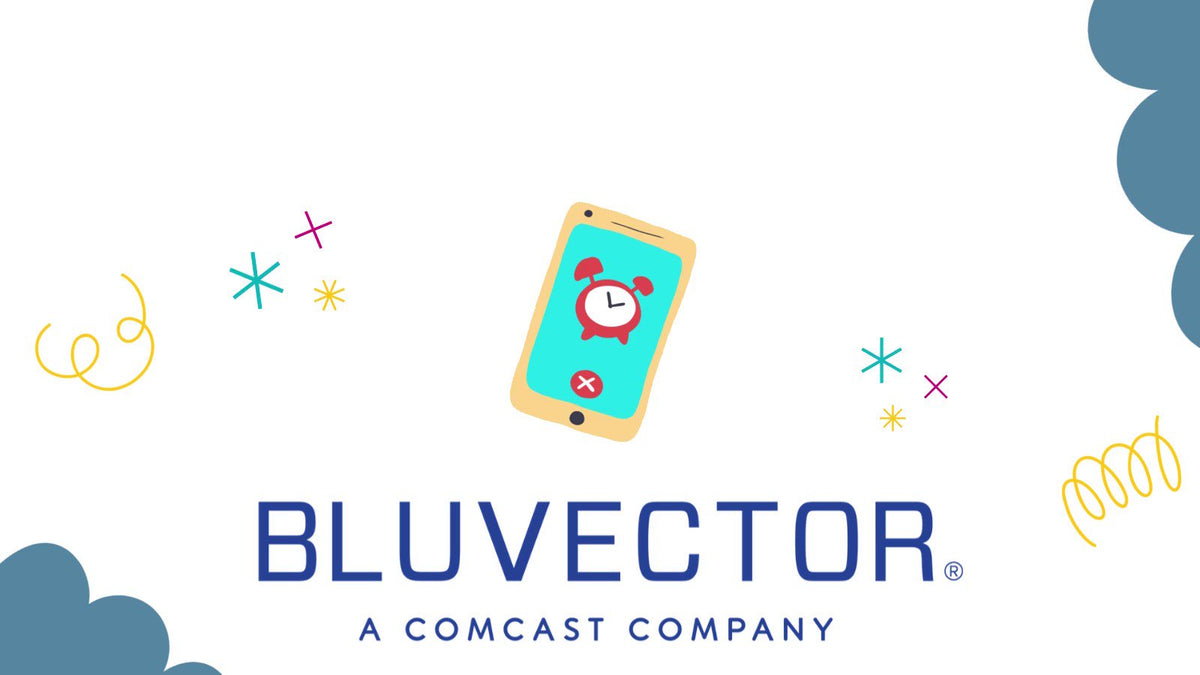 BLUVECTOR BV Subscription for Empty Chassis 3 Year