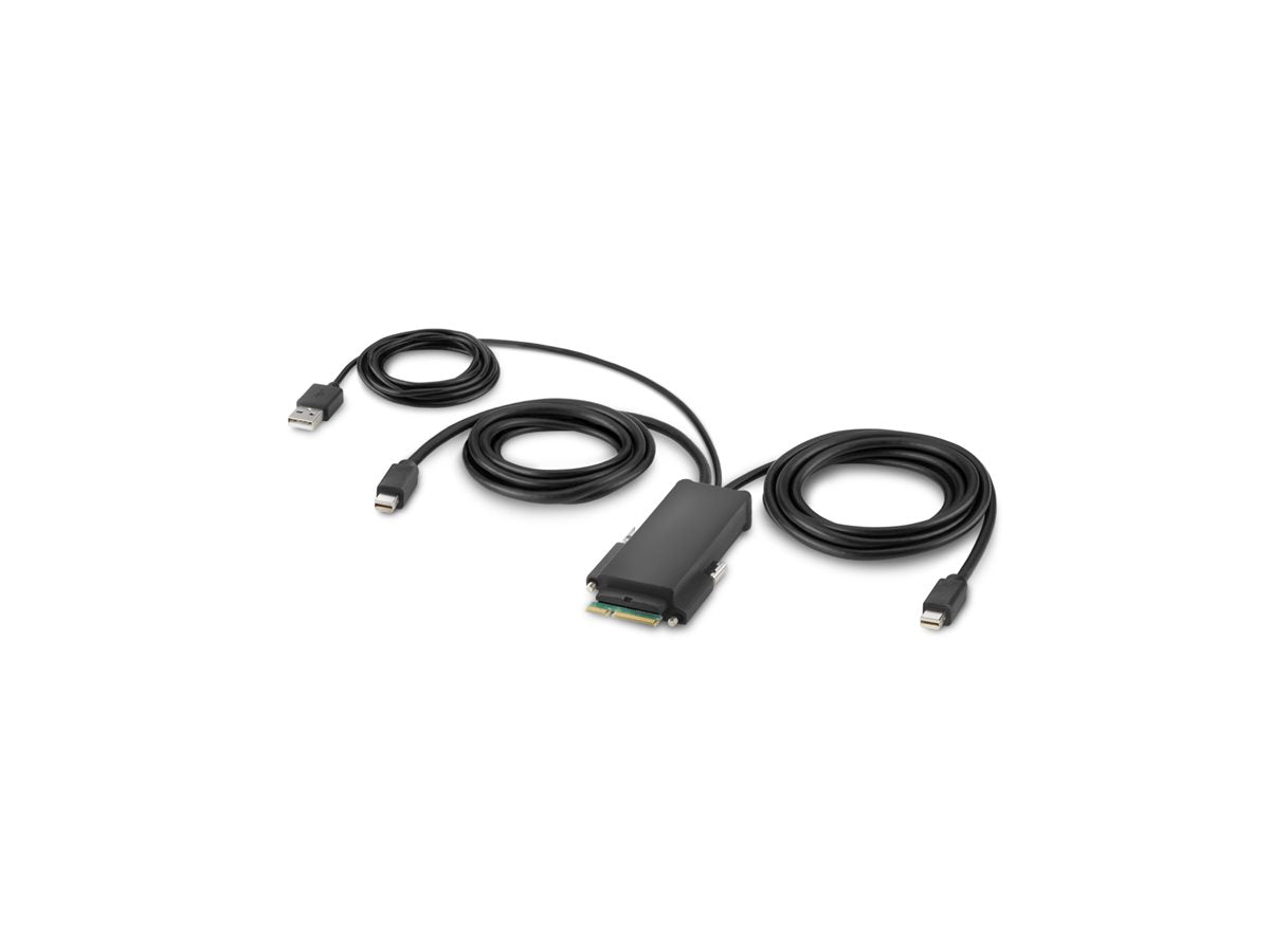 Belkin Secure Modular Mini Dp Dual Head Host Cable - Video Cable - Mini Displayport Con-C1nbd-C920l4xe