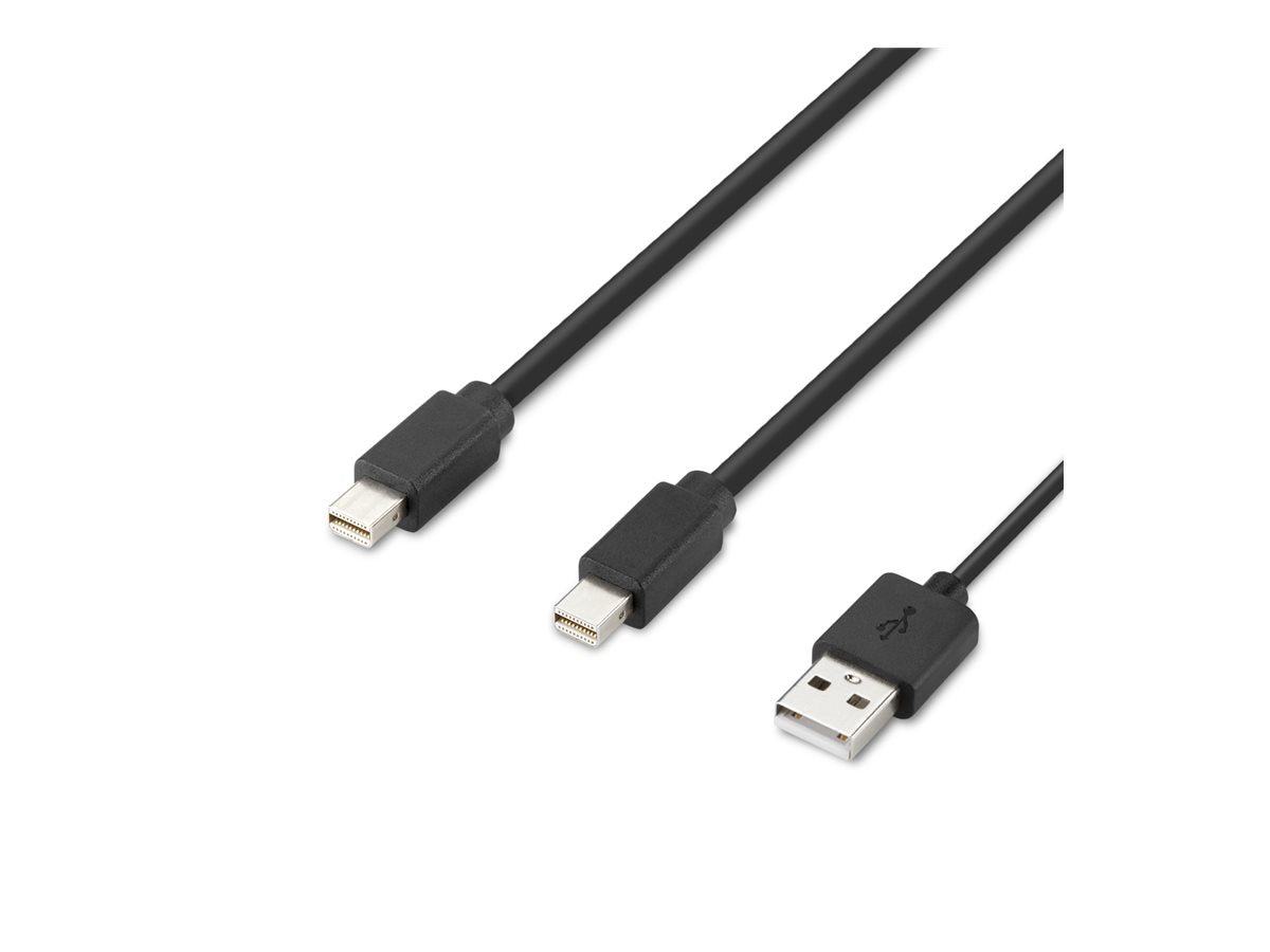 Belkin Secure Modular Mini Dp Dual Head Host Cable - Video Cable - Mini Displayport Con-C1nbd-C920l4xe