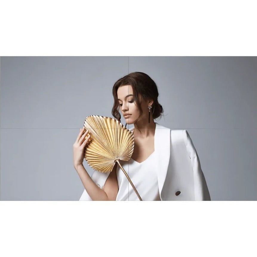 BenQ 55 Video Wall Display PL5501"