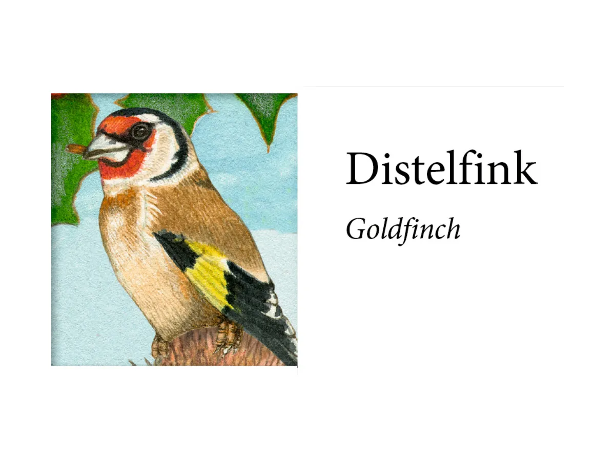 Birds of Winter Advent Calendar with Sound