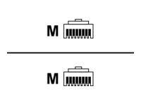 Black Box - Patch cable - RJ-45 (M) to RJ-45 (M) - 30 ft - F/UTP (ScTP) - CAT 6 - solid, booted, snagless - red