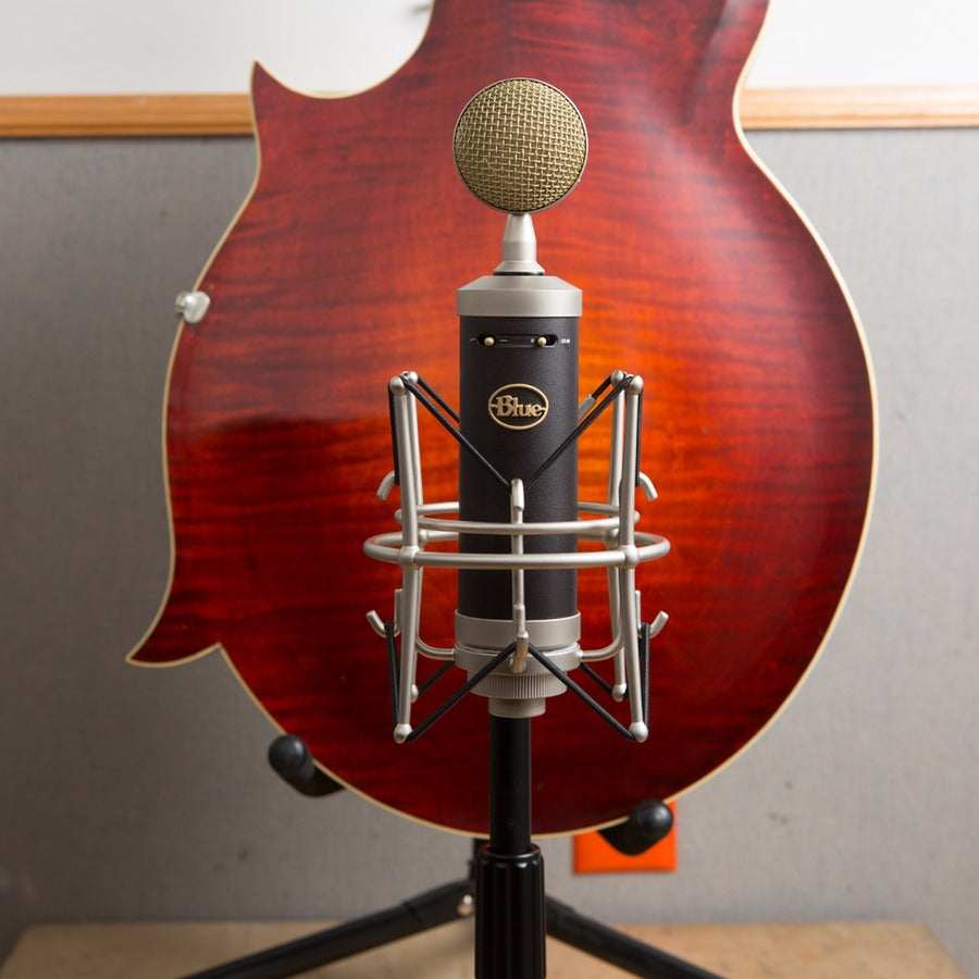 Blue Baby Bottle SL Wired Condenser Microphone