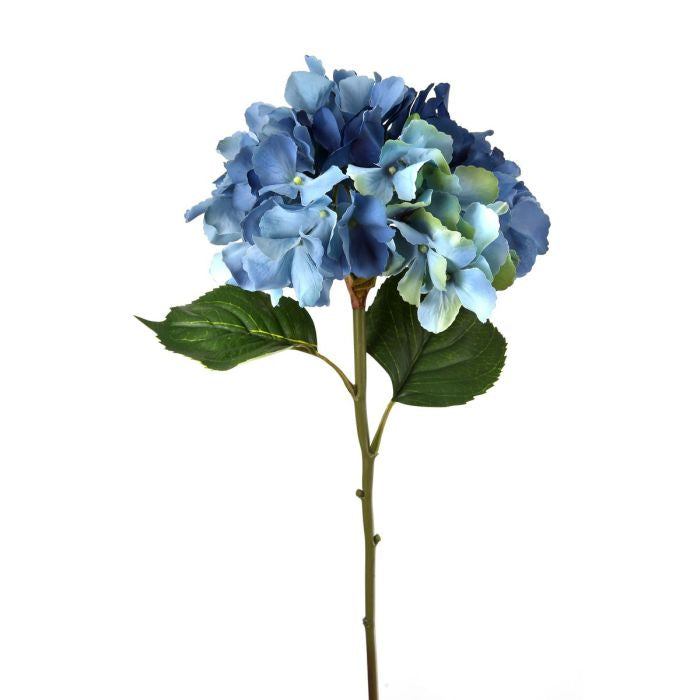 Blue Hydrangea Stem