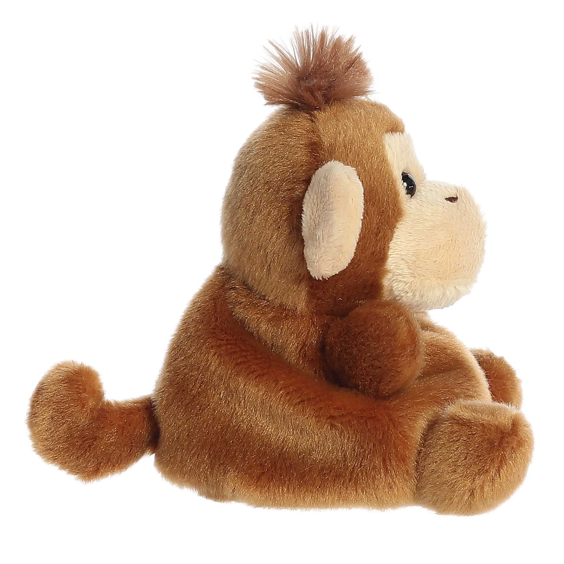 Boomer Monkey Palm Pal