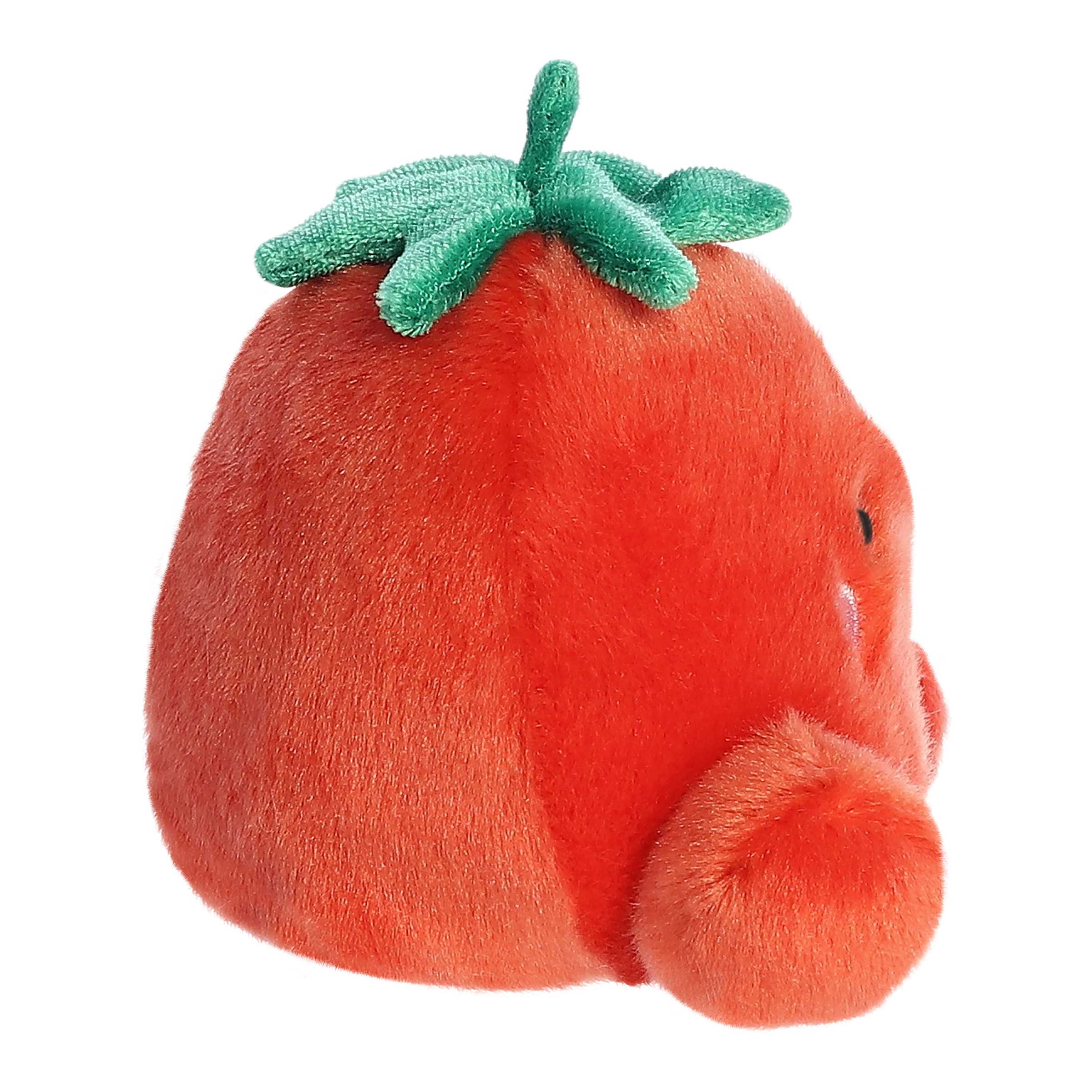 Boyd Tomato Palm Pal
