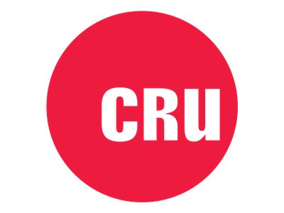 CRU - Hard drive security key (pack of 10) - for CRU DataPort I, IV, V, V plus, VI, VII, VIII 2400-001-14