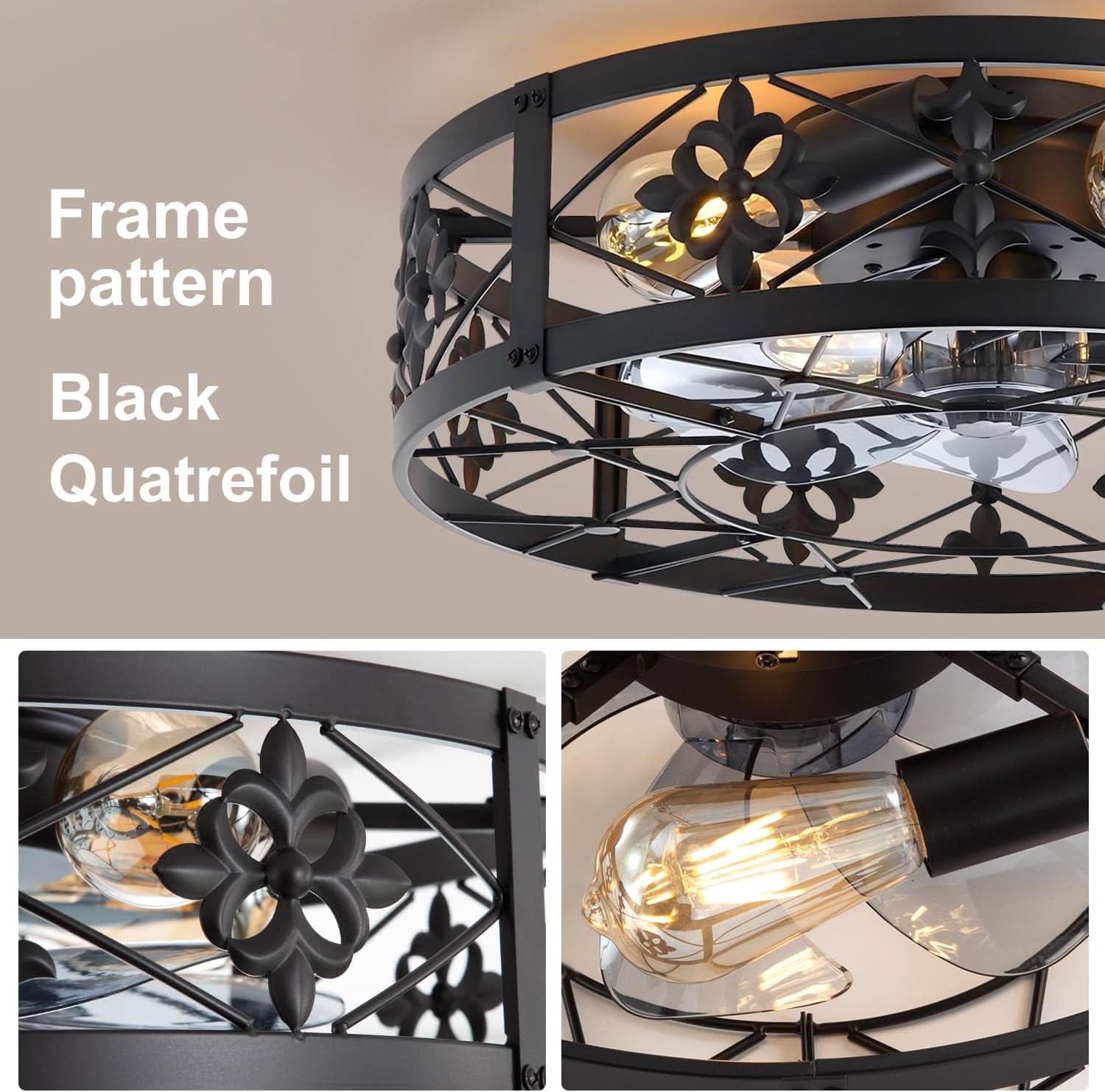 Caged Ceiling Fan 20 Inch Matte Black Remote Control