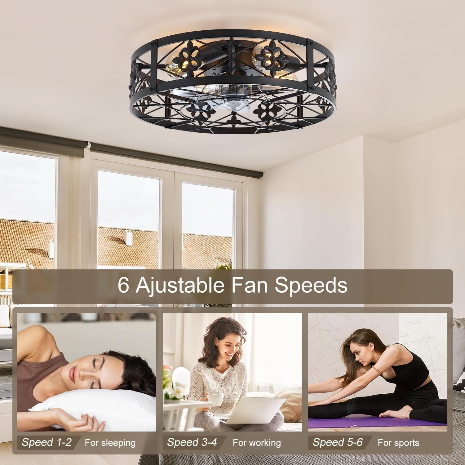 Caged Ceiling Fan 20 Inch Matte Black Remote Control