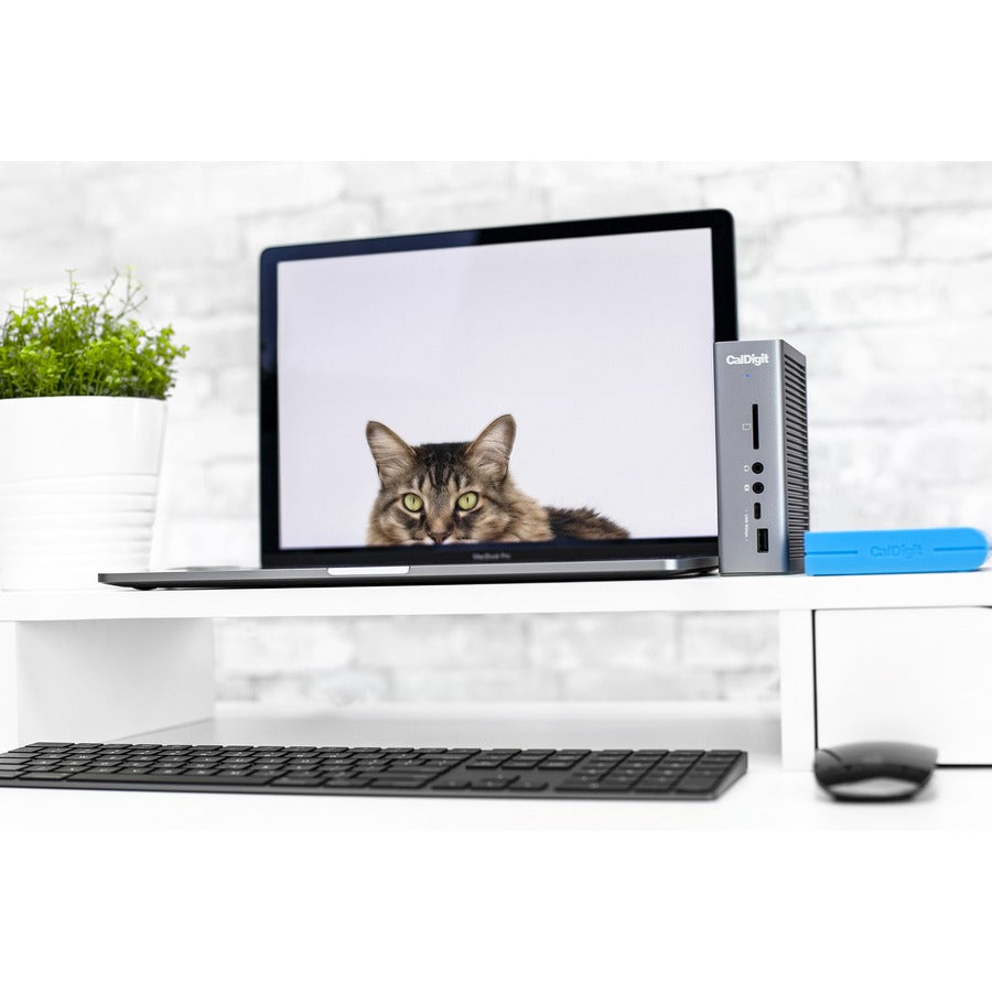 CalDigit TS3 Plus Docking Station TS3PLUS-US07-SG