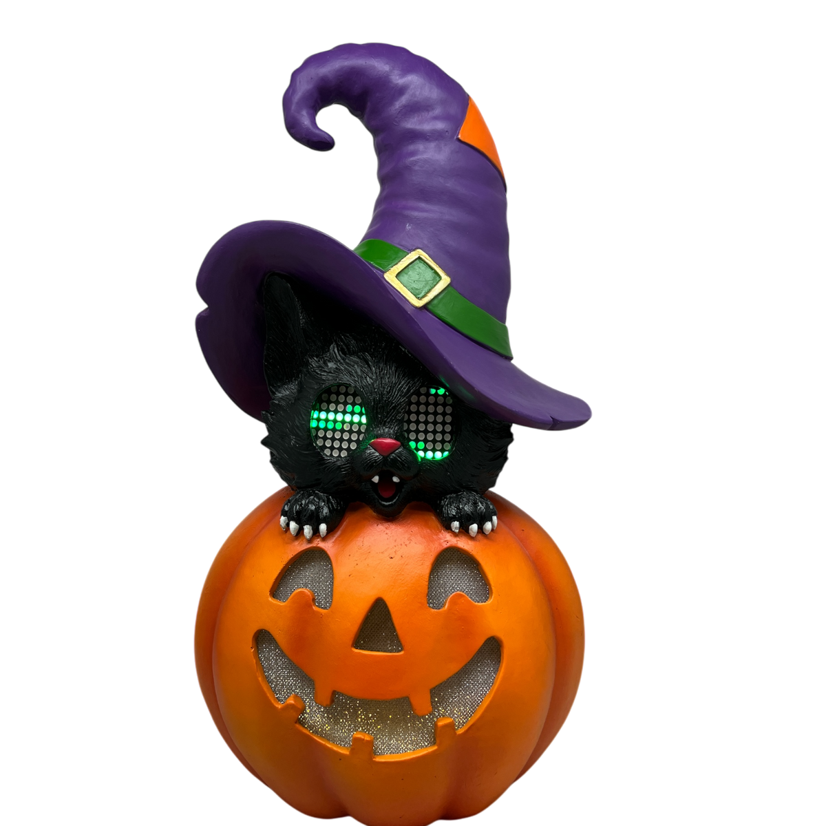 Cat On Pumpkin With Moving Digital Eyes