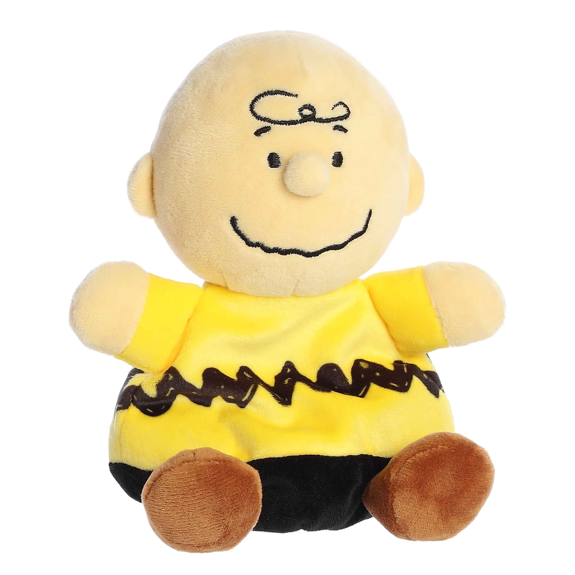 Charlie Brown Palm Pal