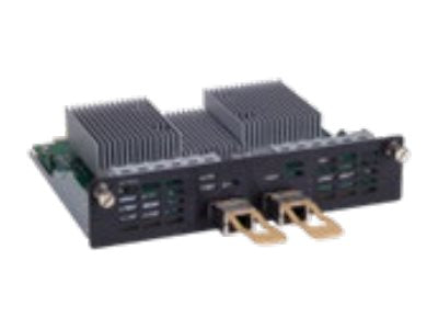 Checkpoint Module Interface Adapter Check Point - Expansion module - 100 Gigabit QSFP28 x 2