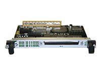 Cisco 24-Port Channelized T1/E1/J1 Circuit Emulation Over Packet and Channelized ATM Shared Port Adapter - Expansion