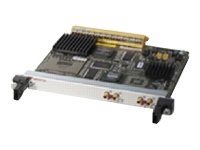 Cisco Channelized T3 (DS0) Shared Port Adapter - Expansion module - HDLC, Frame Relay, PPP - 2 ports - T-3 - refurbished