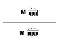 Cisco PrecisionHD Camera Daisy-Chain Cable For Visca Control - Stacking cable - RJ-12 (M) to RJ-45 (M) - 21 ft - black