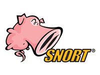 Cisco Snort Subscriber Ruleset 4331 ISR 3Y