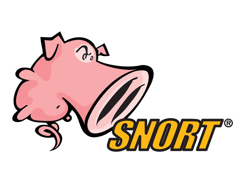 Cisco Snort Subscriber Ruleset 4331 ISR 3Y