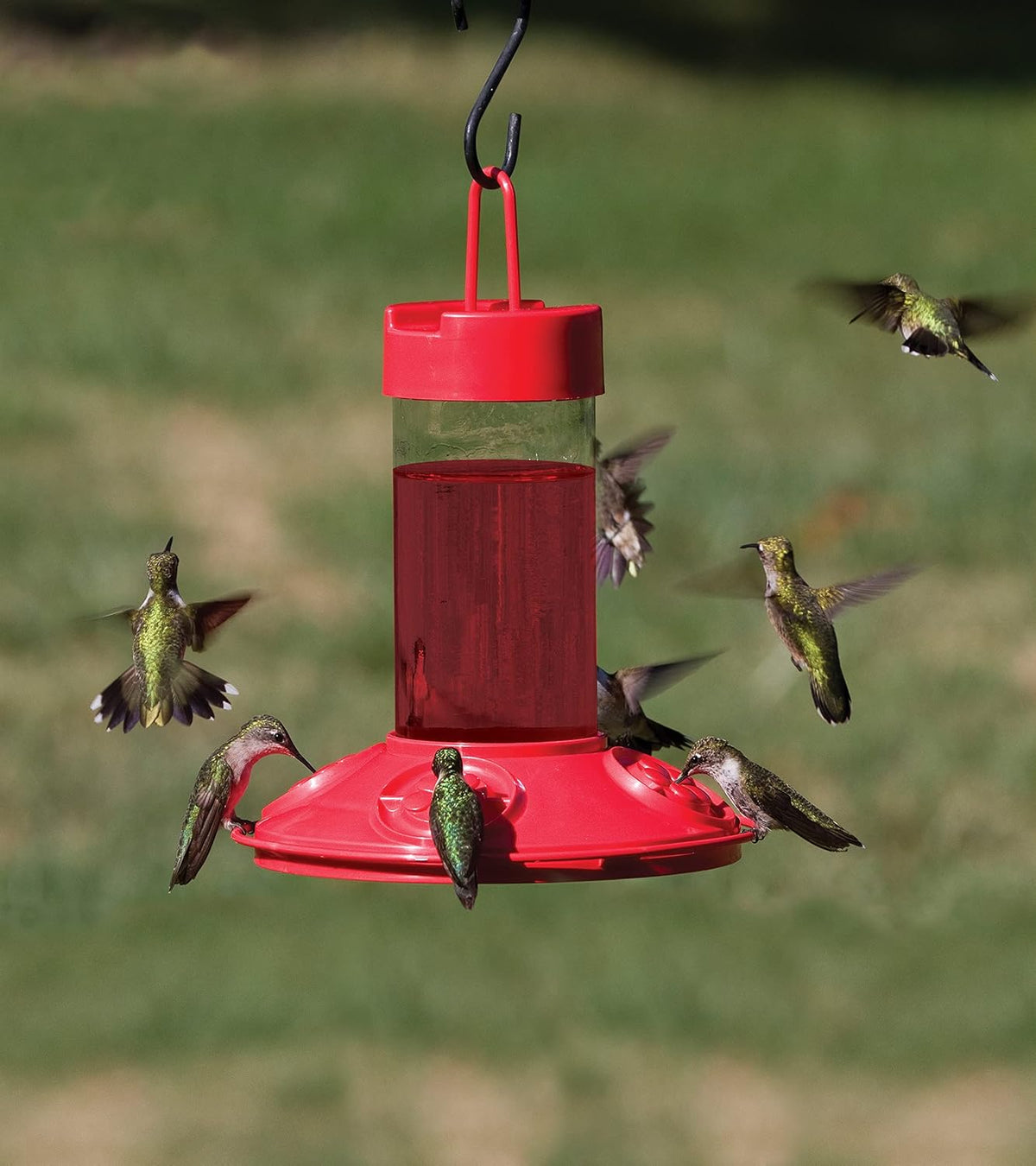 Clean Feeders Clean Feeder All Red Hummingbird Feeder - 16 oz