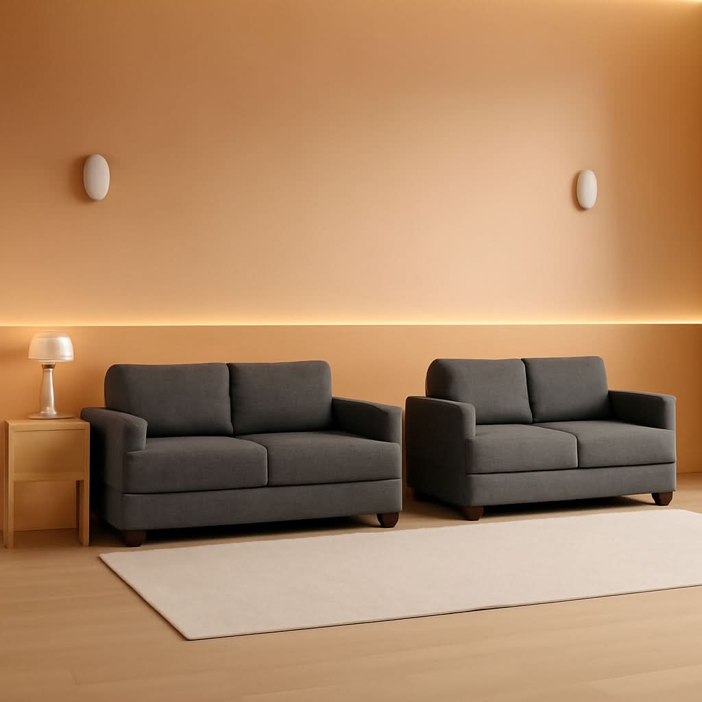 Comfy Modern Sleeper Couch Set for Living Room