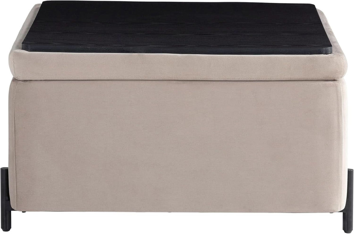 Connor Thirty One Point One Inch Taupe Velvet Storage Ottoman