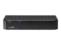 Cradlepoint 1-Year NetCloud Small Branch Essentials Advanced Plan with E100 Router
