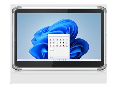 DT Research Rugged Medical Tablet 316T/MD - Rugged - tablet - Intel Core i5 - 1335U / up to 4.6 GHz - Win 11 IoT Enterprise - 316T-51-5A