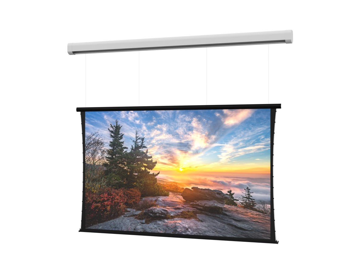 Da-Lite Myriad Reveal Electric Projection Screen DL100197L