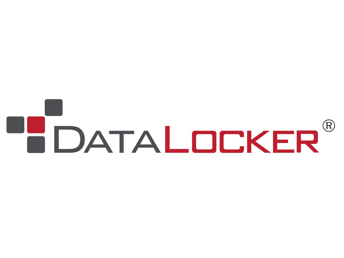DataLocker Professional SafeConsole Server License - 1 Year Renewal