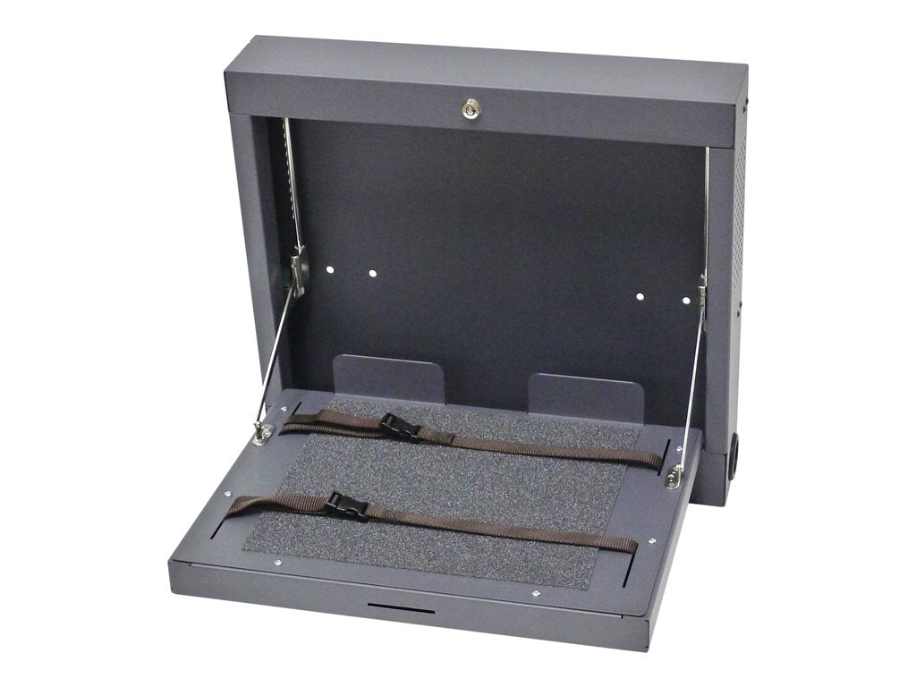 Datamation Systems DS-NSS-WM-2 - Notebook security cabinet - wall moun