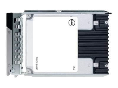 Dell - Customer Kit - SSD - 3.84 TB - hot-swap - 2.5 - SAS 12Gb/s - for PowerEdge C6420 (2.5")"