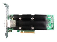 Dell HBA External Controller - Customer Kit - storage controller - SAS 12Gb/s